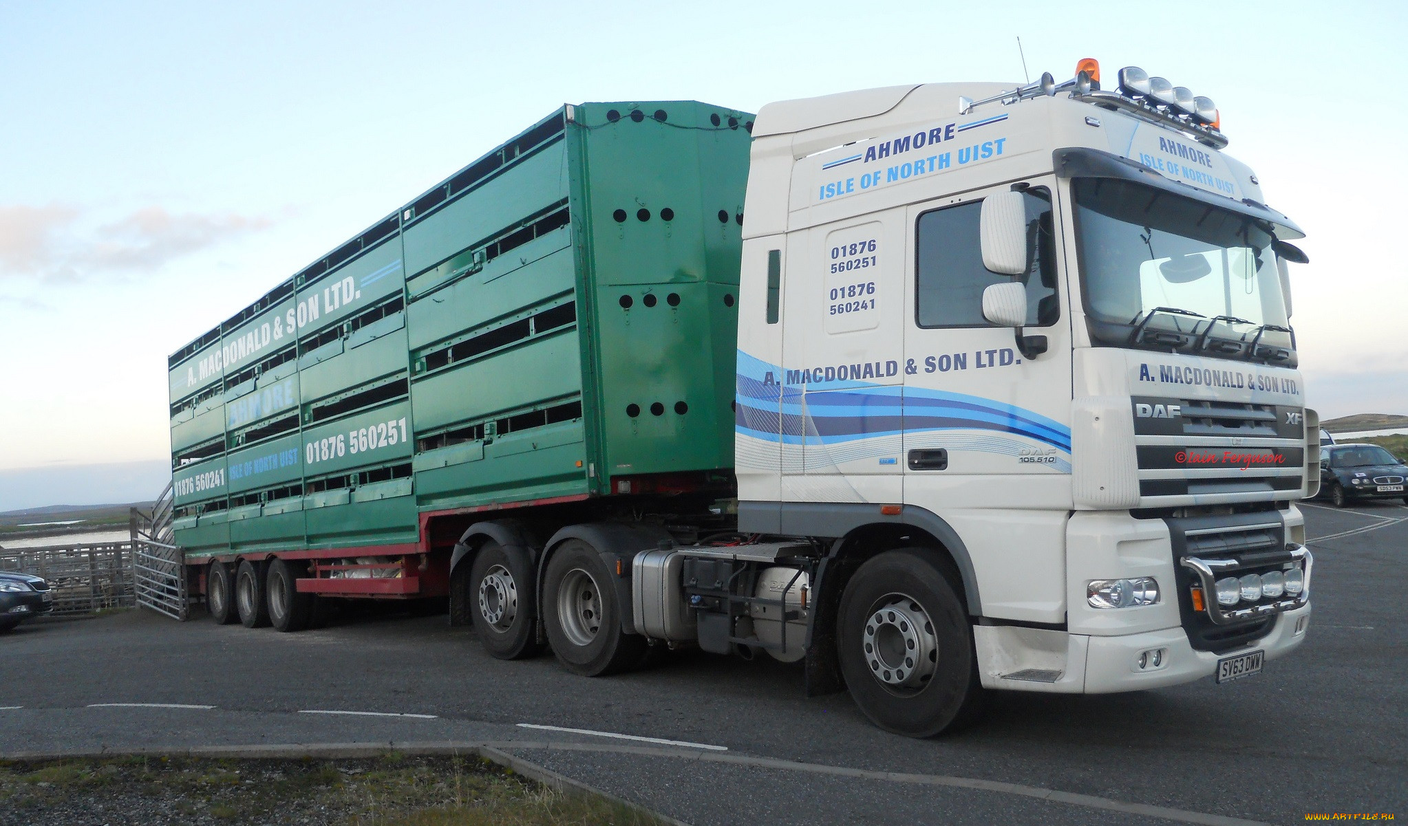 daf, , , , , , trucks, nv, 